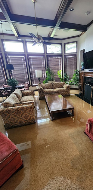 About Platinum Property Restoration Inc